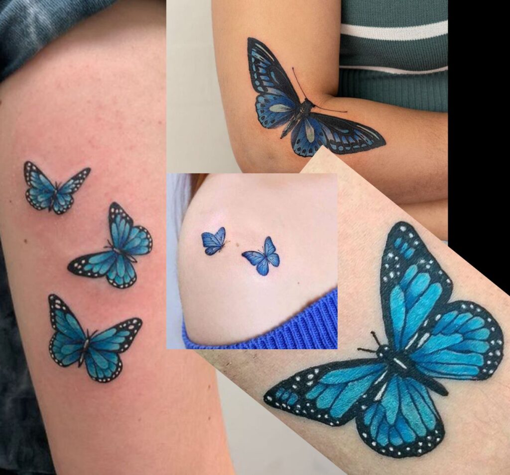 Blue Morpho Butterfly